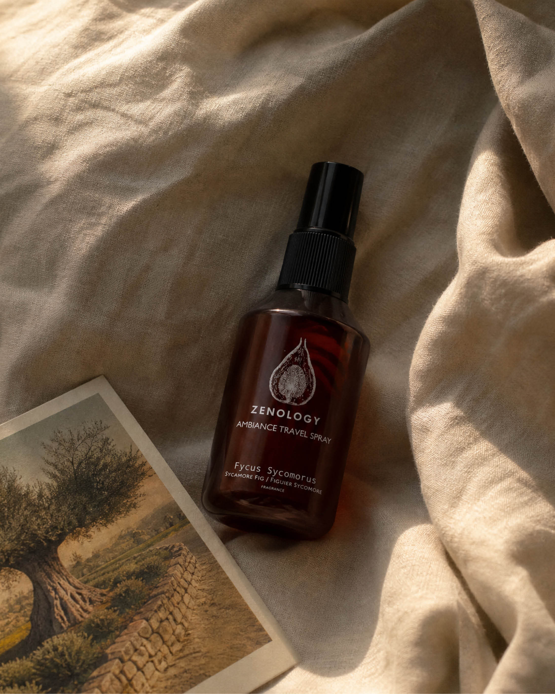 Ambiance Travel Spray Fycus Sycomorus