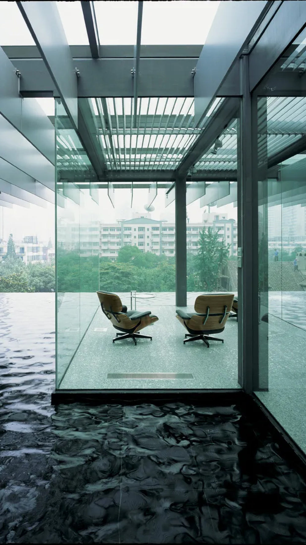 Camellia Sinensis_Interior