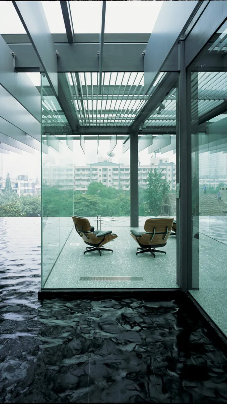 Camellia Sinensis_Interior