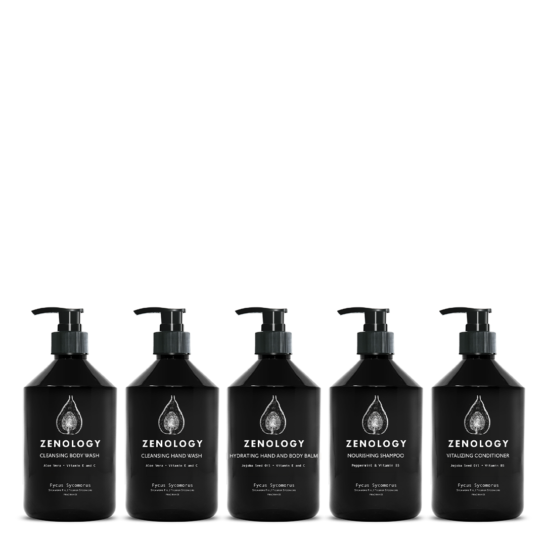 Essential Set Fycus Sycomorus
