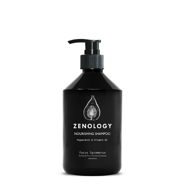 ZENOLOGY_FYCUSSYCOMORUS_NOURIS
