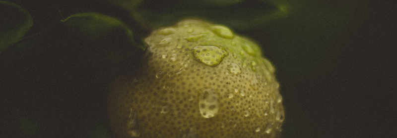 Citrus Nobilis Collection